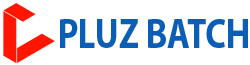 Pluz Batch